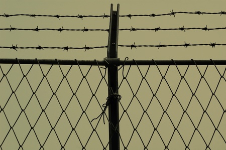 Barb wire and fence