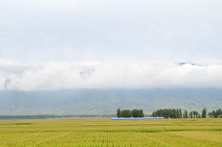 Farm Landscape with cloud and moutainの写真素材