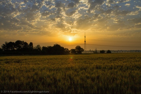 Morning Sun at fieldの素材