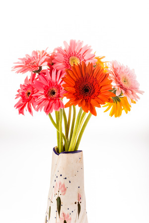 gerbera flower isolated on whitebackgroundの写真素材
