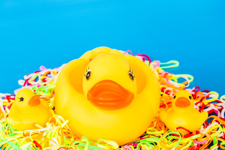 closeup duck toyの写真素材