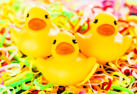 closeup duck toyの写真素材