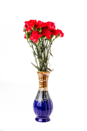 carnation flower on white backgroundの写真素材