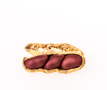 nut on white background
