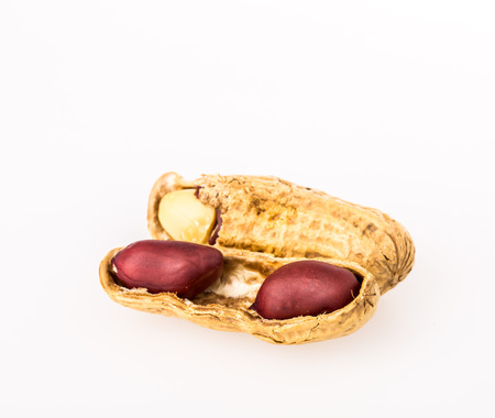 nut on white backgroundの写真素材