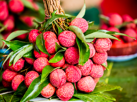 litchi in chiangmai Thailandの写真素材
