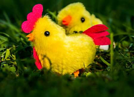 chicken  toy   in the grassの写真素材