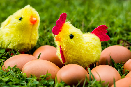 chicken  toy   in the grassの写真素材