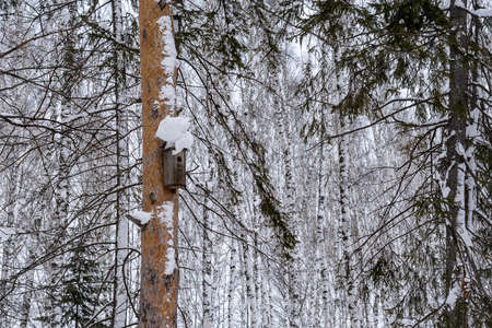 Snow covered wooden bird house hanging on a tree trunk in the city park in winter season close upの写真素材