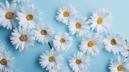 Fresh white daisies on light pastel blue background with Generative AI Technologyの素材