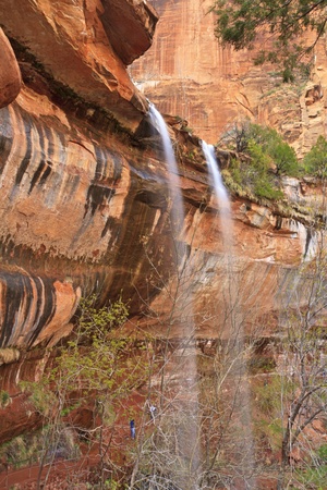 A double waterfall in Spring at Lower Emerald Pools in Zion National Park, Utahの写真素材