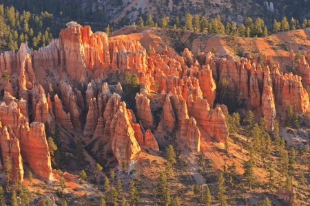 Sunrise backlights  the hoodoos in pink light, seen from above at Bryce Point in Bryce Canyon...