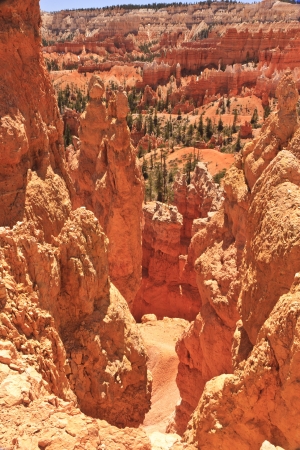 Queens Garden Trail winds between the hoodoos in Bryce Canyon National Park, Utahの写真素材