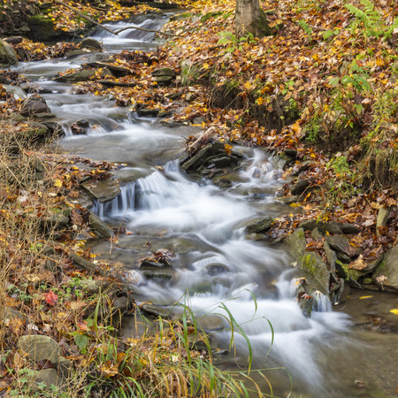 A stream cascades through fallen leaves in a forest in the Catskills Mountains of New York (square crop)の写真素材