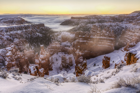 The sun about to rise out of the a fog bank over the snow shrouded hoodoos  in Bryce Canyon National Park, Utahの写真素材