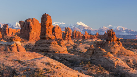 Warm late afternoon sunlight sidelights the rock formations in the Garden of Eden, with the Windows section behind in Arches National Park, Utahの写真素材