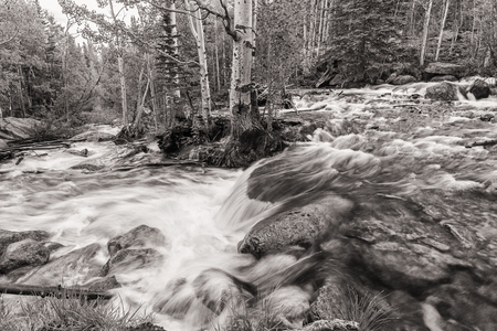 Glacier Creek makes an almost 180 degree turn around some Aspen trees in Rocky Mountain National Park, Coloradoの写真素材