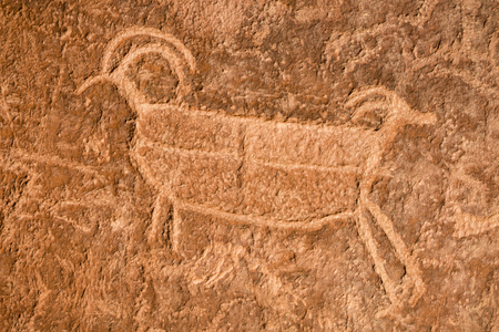 Pre-Columbian big horn sheep petrogyphs carved on the cliffs above the Escalante River in Grand Staircase Escalante National Monument, Utah.の写真素材