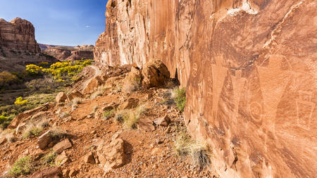 Petroglyphs along Kane Creek Road above Kane Springs Canyon with golden Autumn Cottonwood trees near Moab, Utah.の写真素材