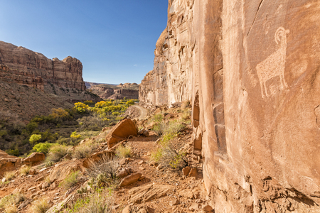 Petroglyphs along Kane Creek Road above Kane Springs Canyon with golden Autumn Cottonwood trees near Moab, Utah.の写真素材