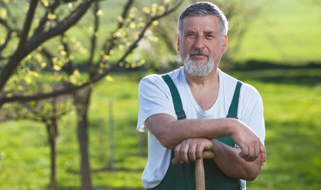 Portrait of a senior man gardening in his gardenの写真素材