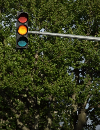 Traffic lights - orange light is on (against green tree background) の写真素材
