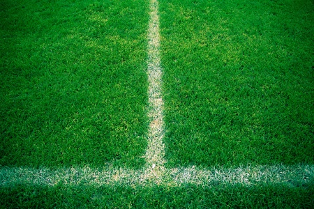 Sport grounds concept - Football/soccer pitch (color toned image)