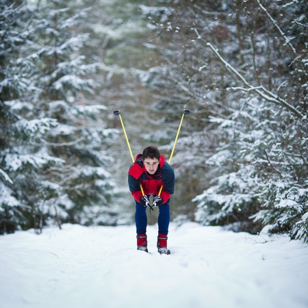 young man cross-country skiing on a snowy forest trail (color toned image)の写真素材