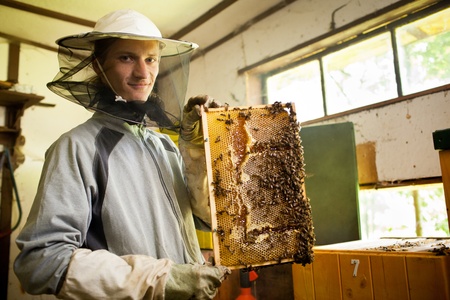Beekeeper in an apiary holding a frame of honeycomb covered with swarming bees