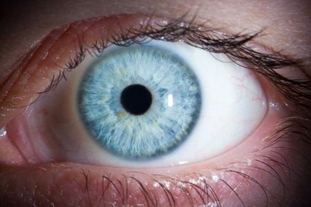 Close-up of a beautiful female blue eye (shot through a slit lamp)の写真素材