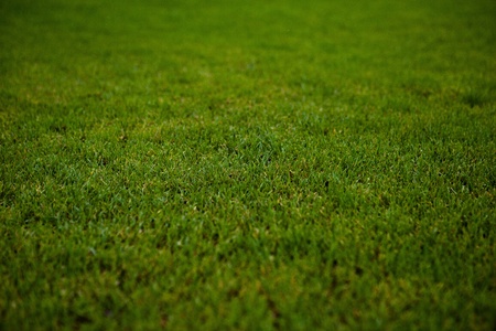 Sport grounds concept - Football/soccer pitch (color toned image)の写真素材