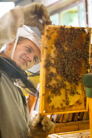 Beekeeper in an apiary holding a frame of honeycomb covered with swarming bees