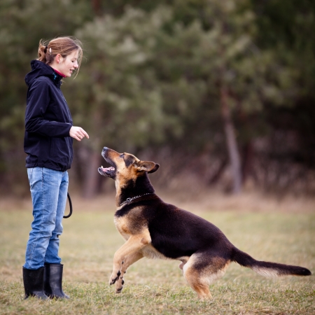 Master and her obedient (German shepherd) dogの写真素材