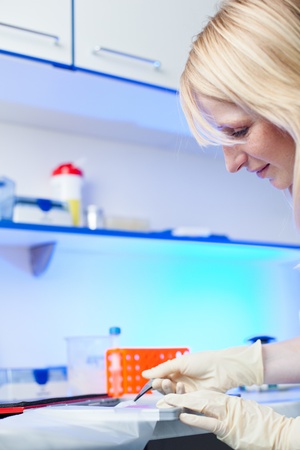 portrait of a female researcher doing research in a lab  color toned image; shallow DOF の写真素材