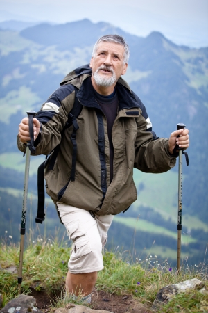 Active senior hiking in high mountains (Swiss Alps)の写真素材