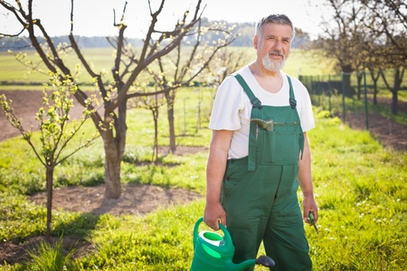 portrait of a senior gardener in his garden/orchard (color toned image)の写真素材