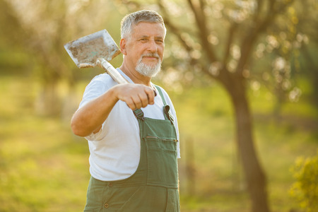 Portrait of a handsome senior man gardening in his garden の写真素材
