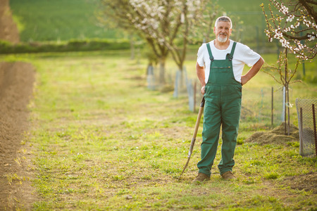 Portrait of a handsome senior man gardening in his garden, on a lovely spring day (color toned image)の写真素材