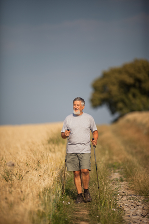 Active handsome senior man nordic walking outdoors on a forest path, enjoying his retirementの写真素材