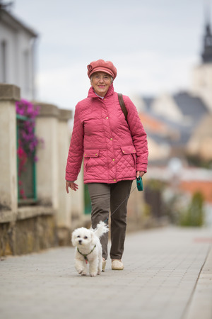 Senior woman walking her little dog on a city street; looking happy and relaxed (shallow DOF)の写真素材