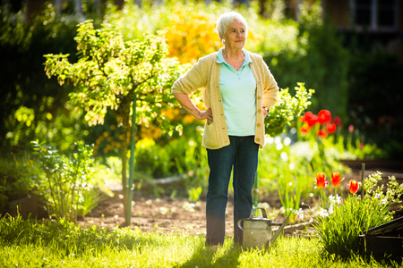 Senior woman doing some gardening in her lovely garden - watering the plantsの写真素材
