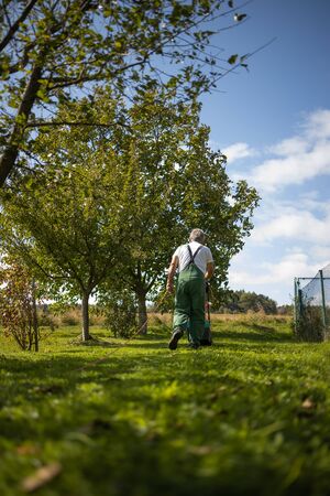 Senior gardenr gardening in his permaculture garden