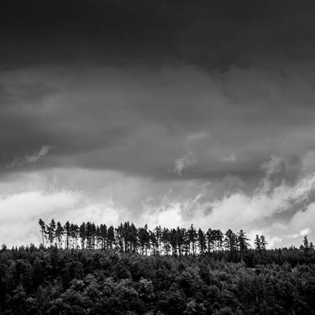 Lovely forest covered hills with stormy clouds over them (color toned image)の写真素材