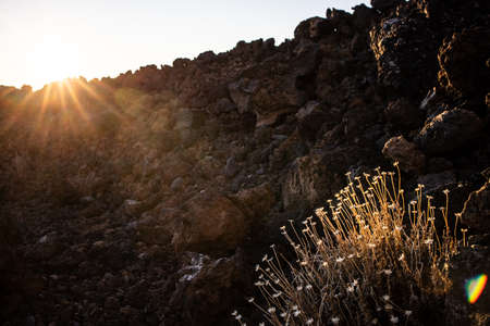 Colorful scenic landscape of moon rise in Tenerife national park of Teide. El Teide with moon rising by its side.の写真素材