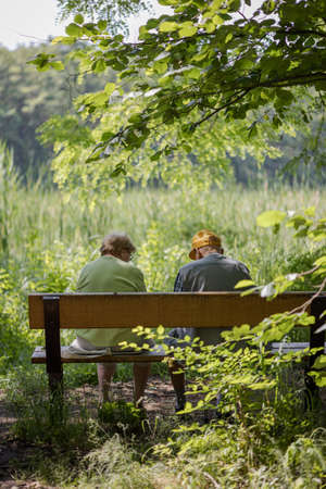 Elderly couple outdoors in summer. Happy elderly couple on a walk. Handsome man and woman senior citizens. Husband and wife of old age against the background of nature.の写真素材