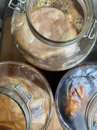 Raw fermented homemade alcoholic or non alcogolic kombucha superfood. Ice tea with healthy natural probiotic in large glass jars, fermentingの写真素材