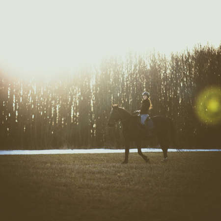 Female horse rider riding outdoors on her lovely horseの写真素材