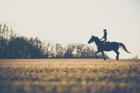 Female horse rider riding outdoors on her lovely horseの写真素材