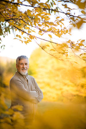 Portrait of handsome senior man in the autumn outdoors. Active senior enjoying his retirement in the natureの写真素材