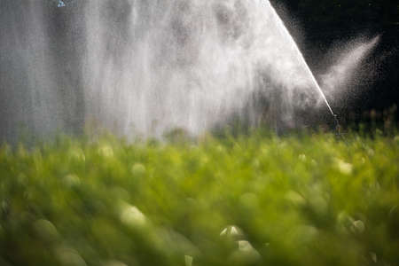 Intense agriculture corn fiekd being irrigatedwith huge amounts of water on a hot summer dayの写真素材